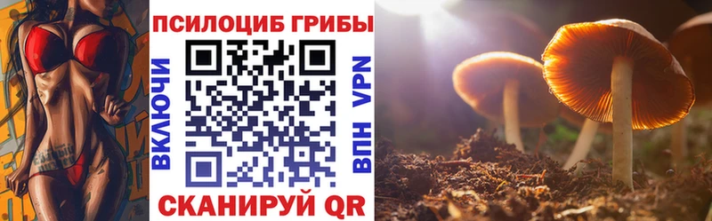 Псилоцибиновые грибы Psilocybine cubensis  Углегорск 